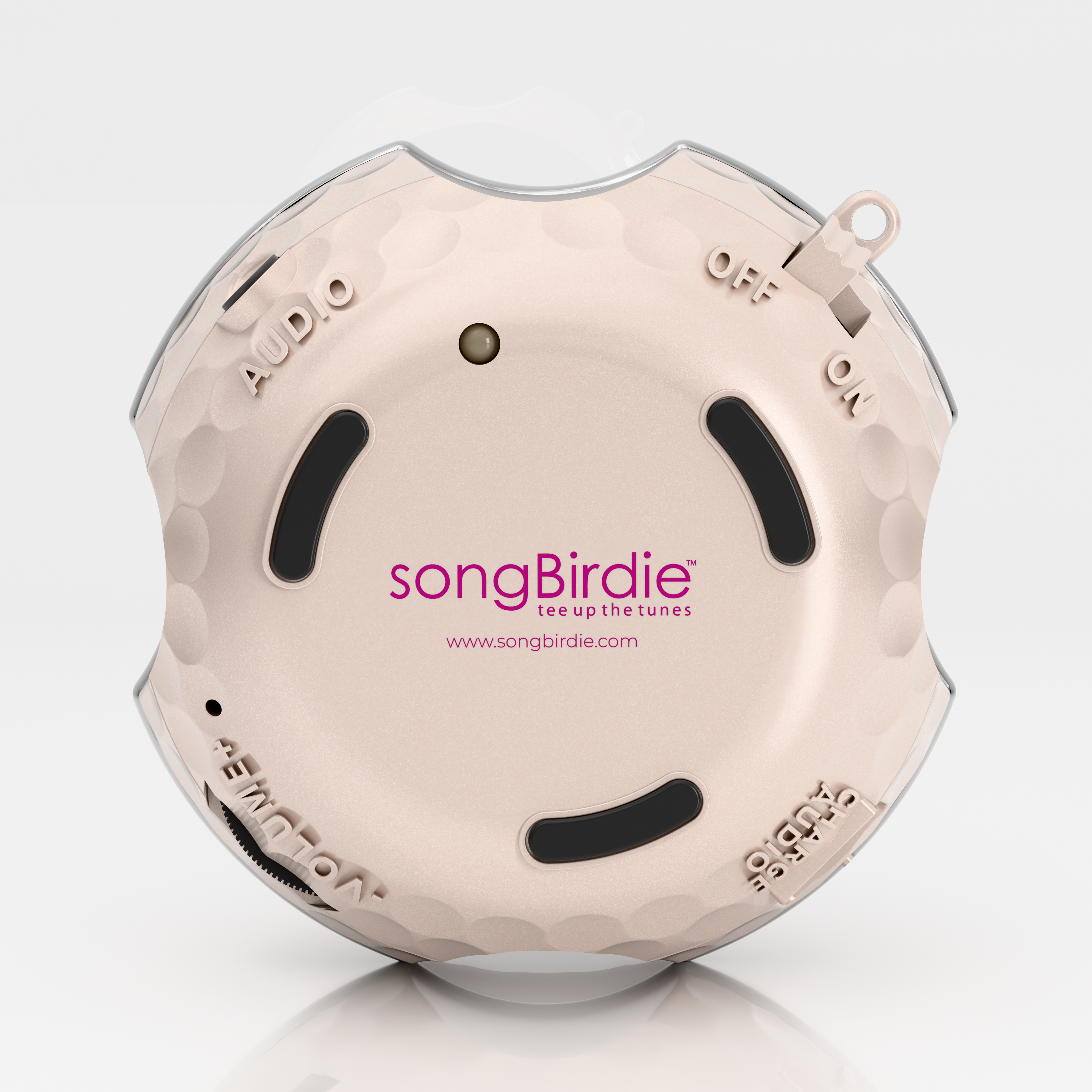 #color_Metallic Pink